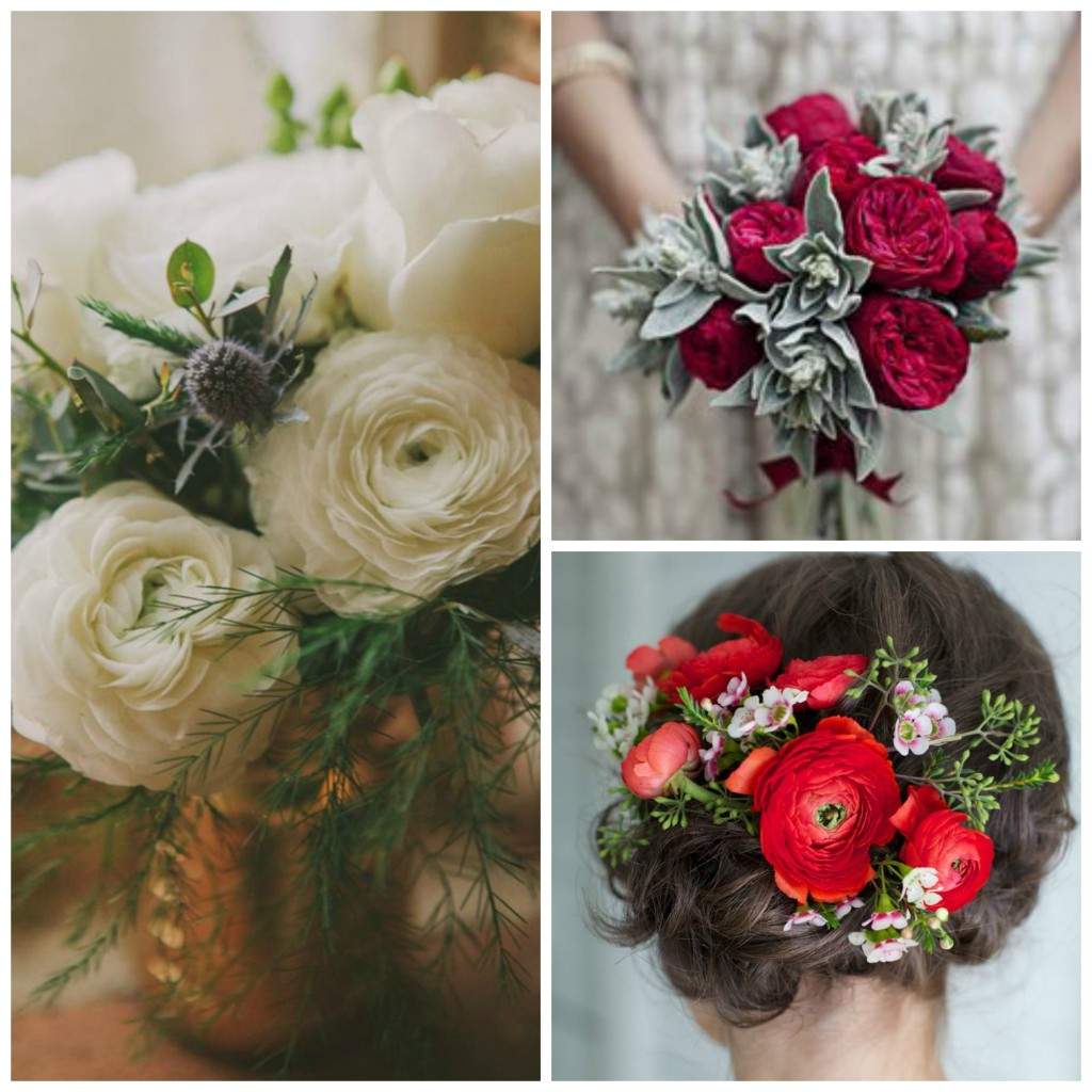 Ranunculus