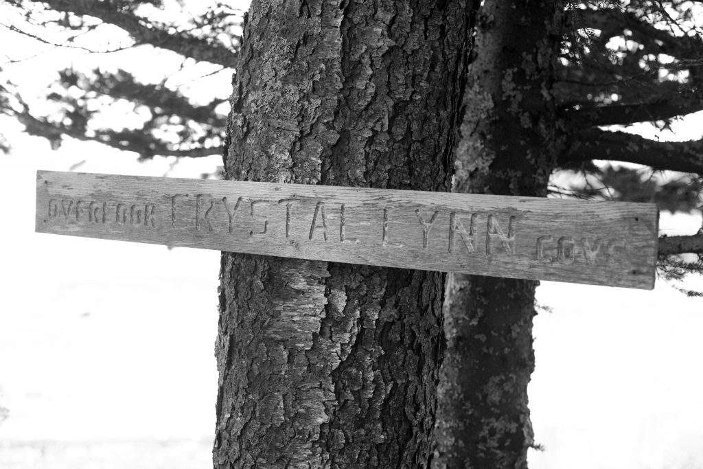 Spring Smith Photography
