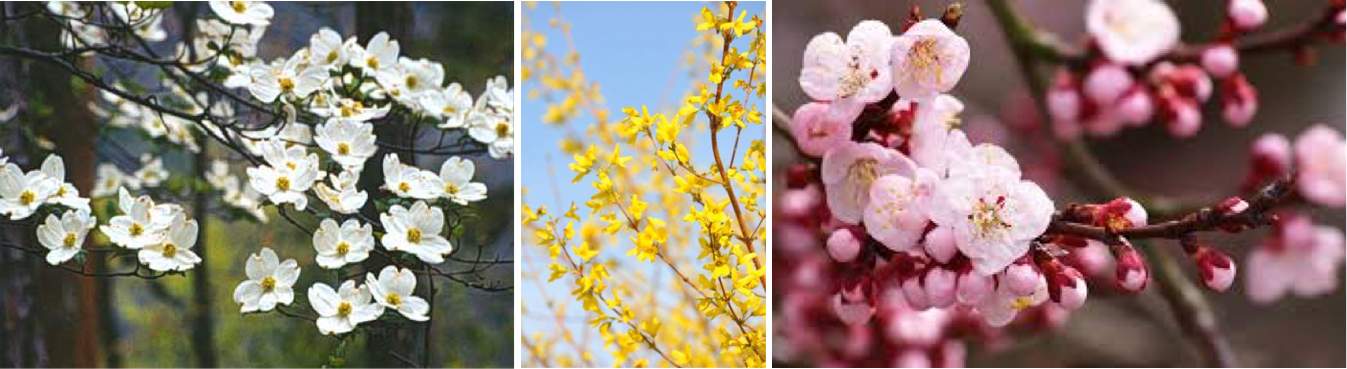 spring wedding floral inspiration