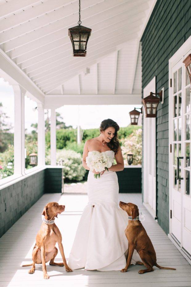 Including Pets in Your Weekend Wedding